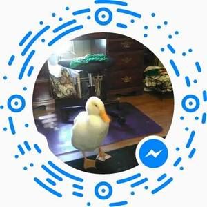 Meet your Posher, Donna